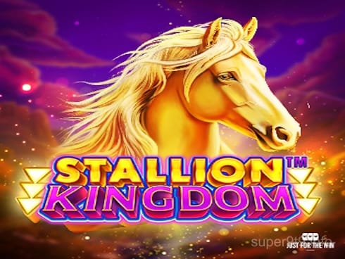 Stallion Kingdom